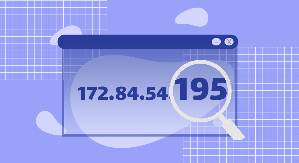 ادرس دعی ip